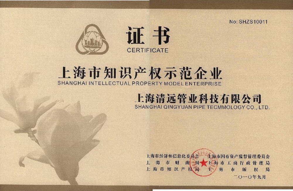 上(shàng)海(hǎi)市(shì)知(zhī)識産權示範企業(yè)